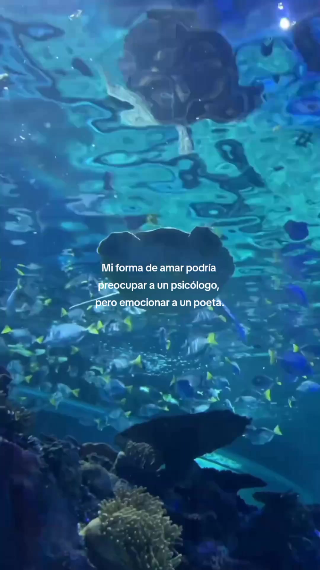 @Mariana