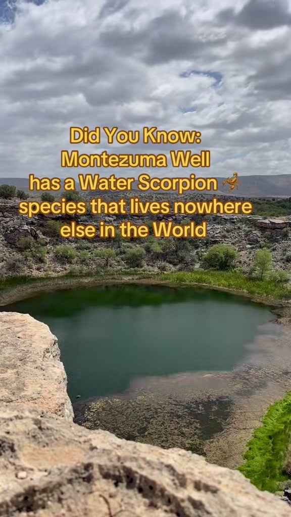@ArizonaTribe