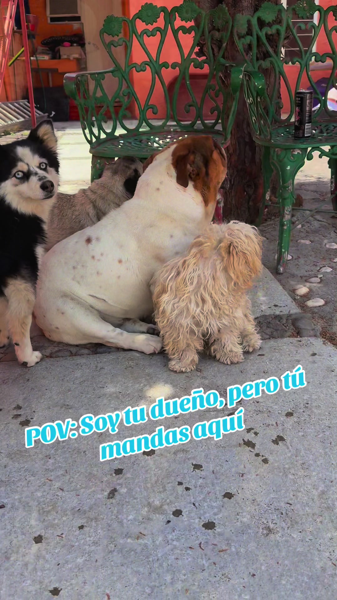 @Yuyus JM🏹🇲🇽🦁🐼🌶️
