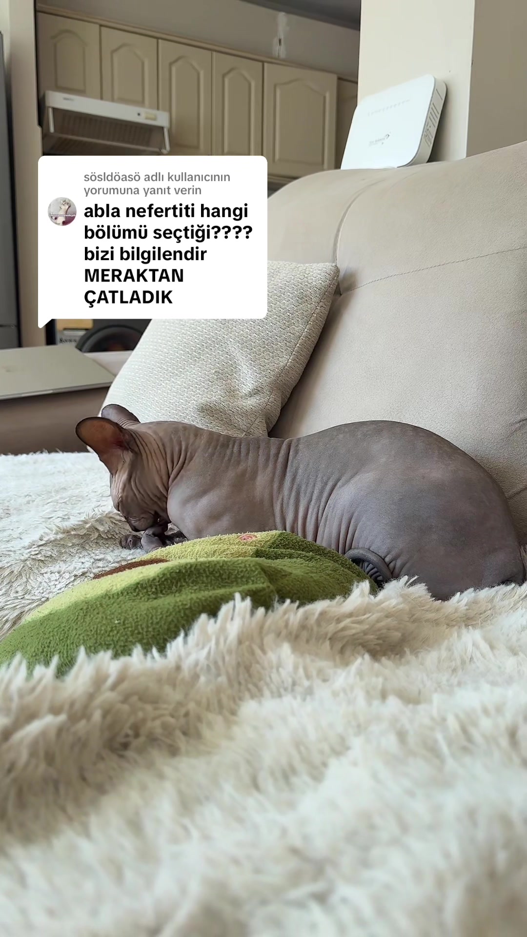 @Larin