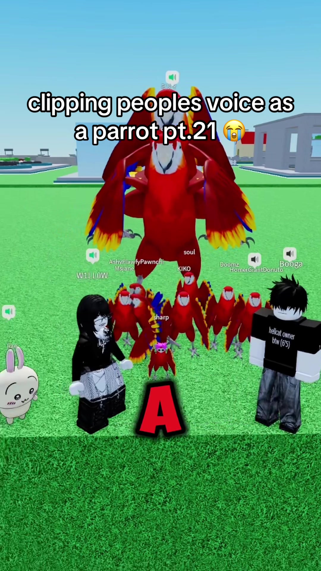 @nobrainjames