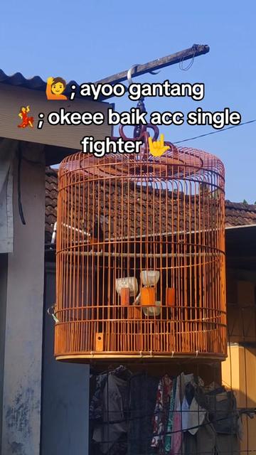 @maskembar12