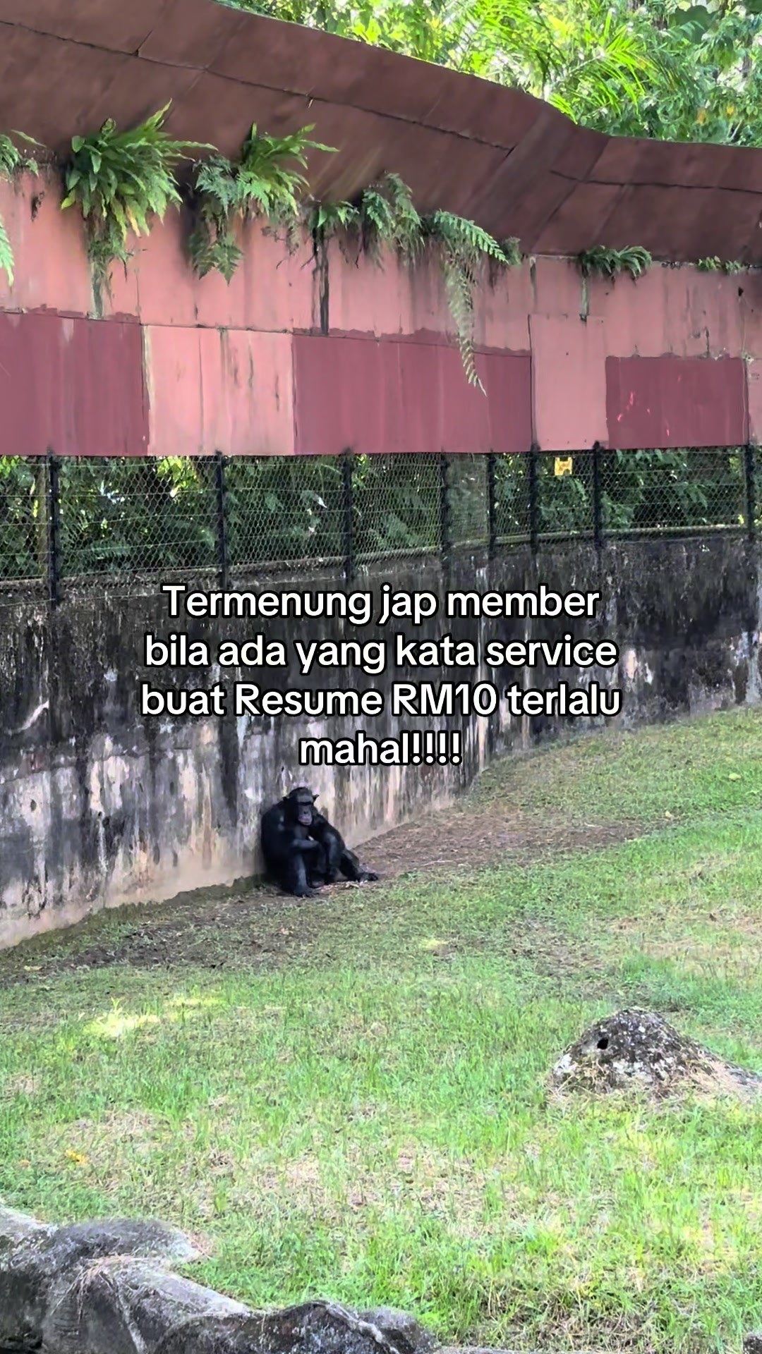 @Service Resume RM10