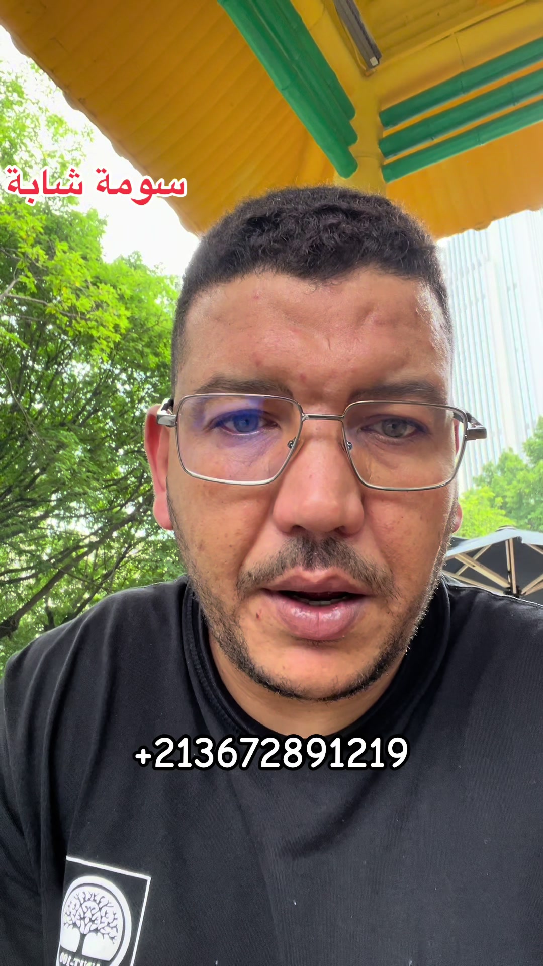 @Guangzhou Alifalcon trading