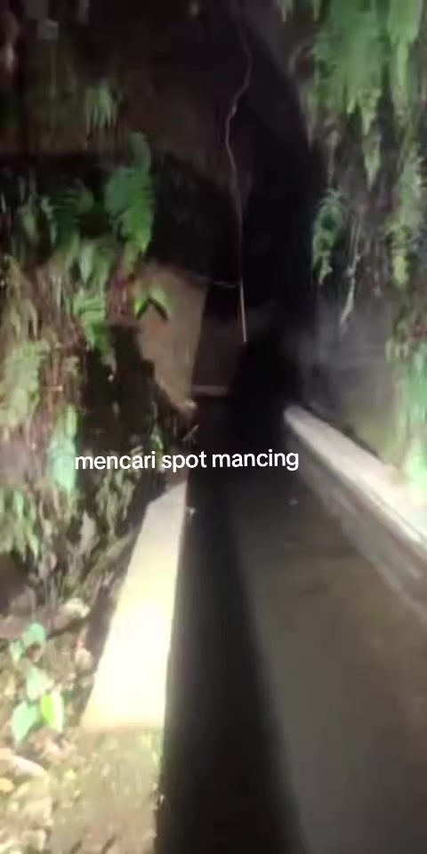 @Pakar boncos