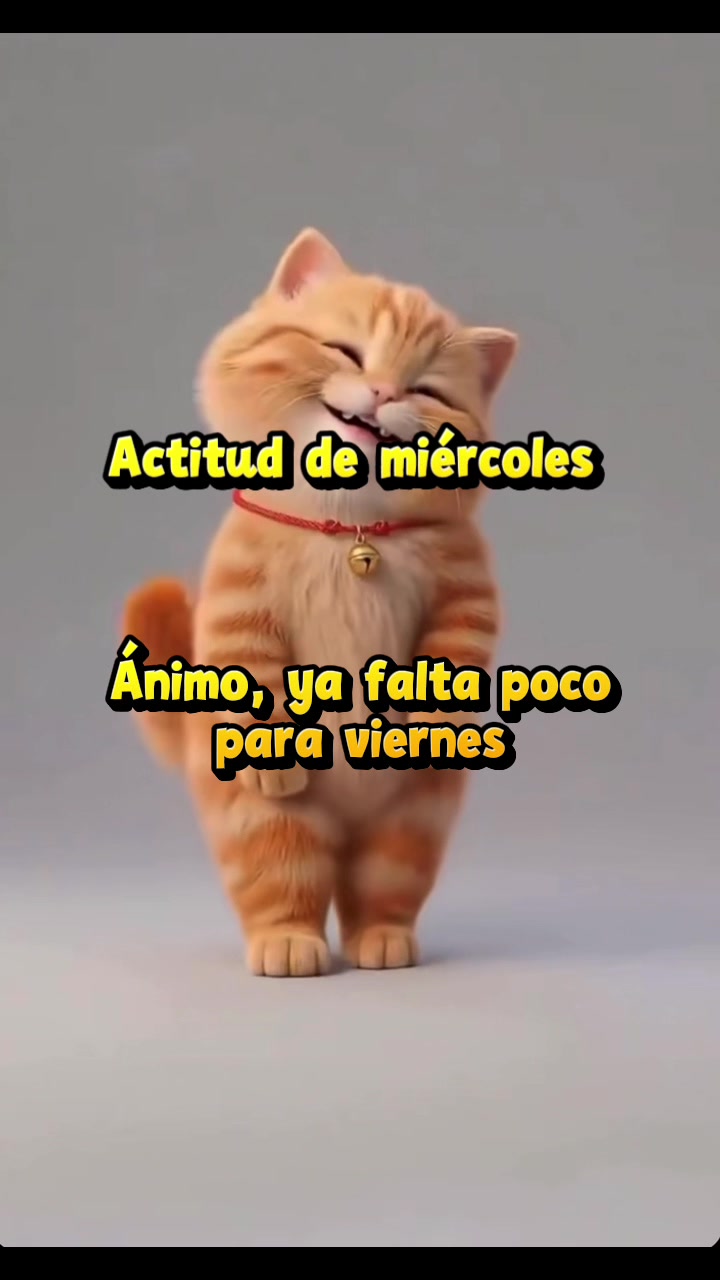 @Airamangel