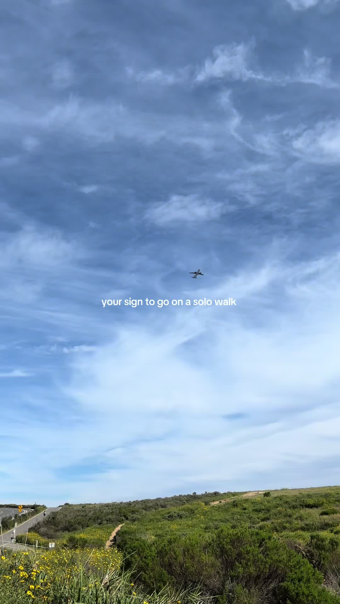 @alexia