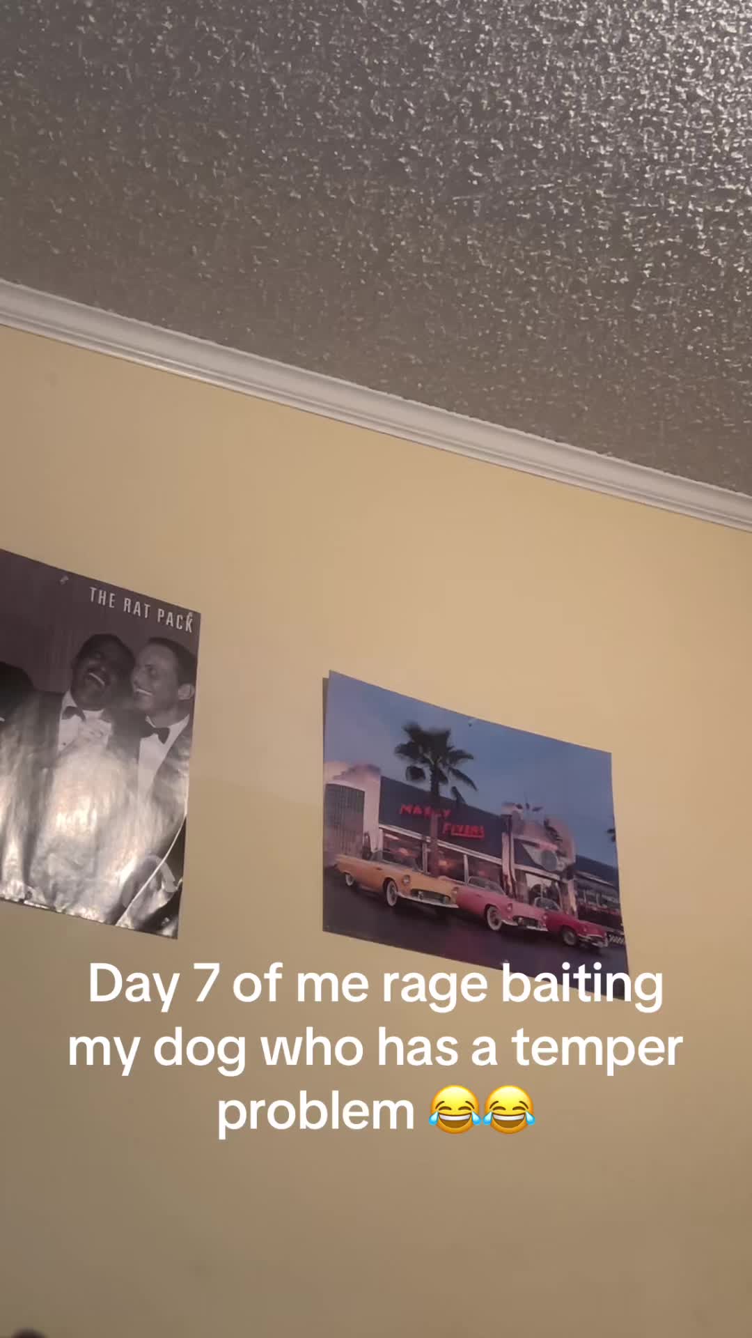 @sammysosafrm803