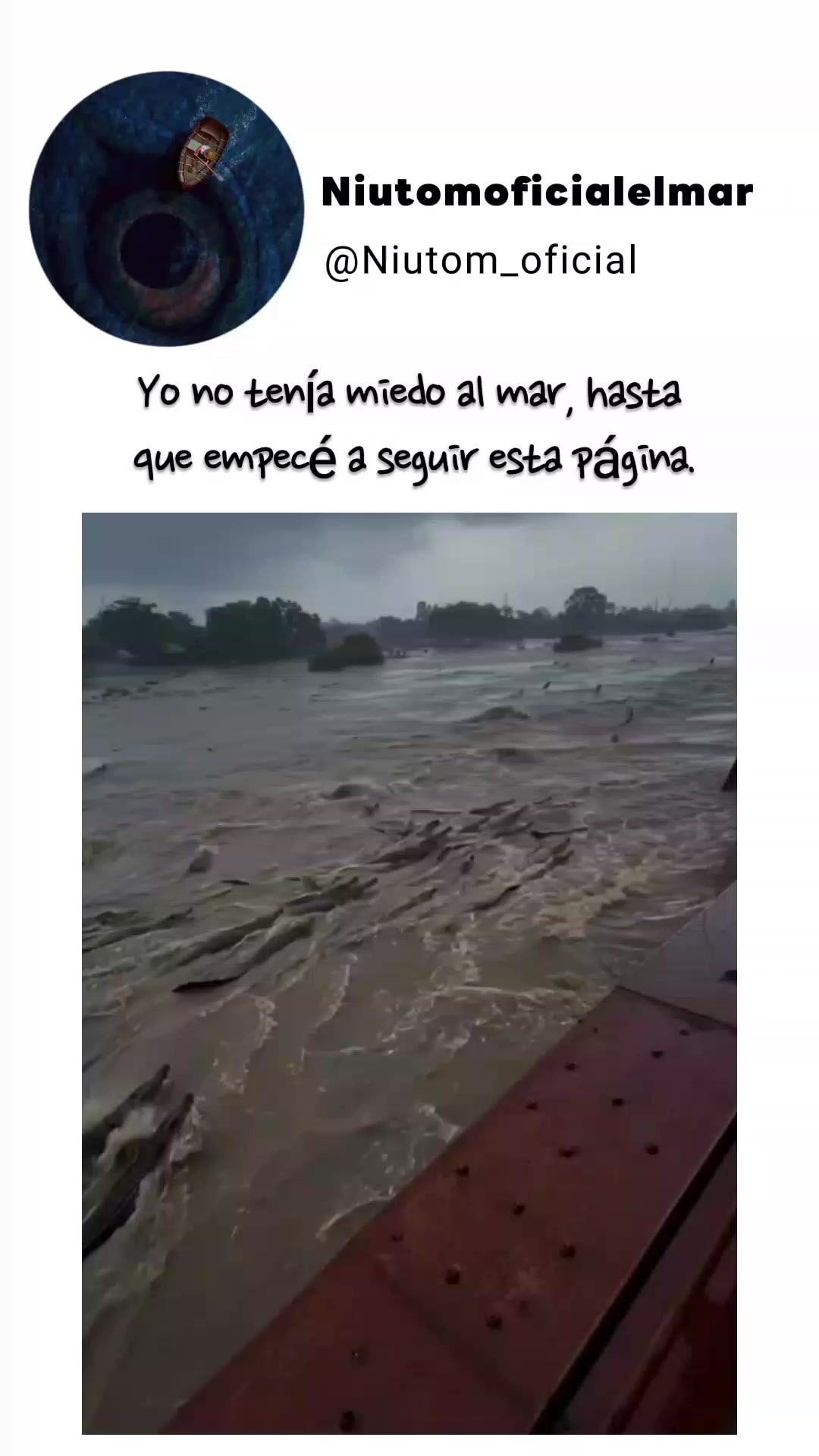 @🌊️niutom oficial el mar 🌊
