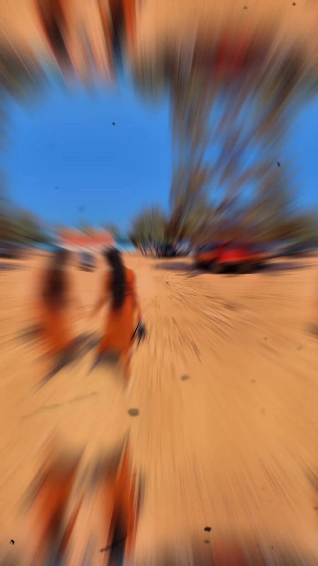 @Melette Mujinga