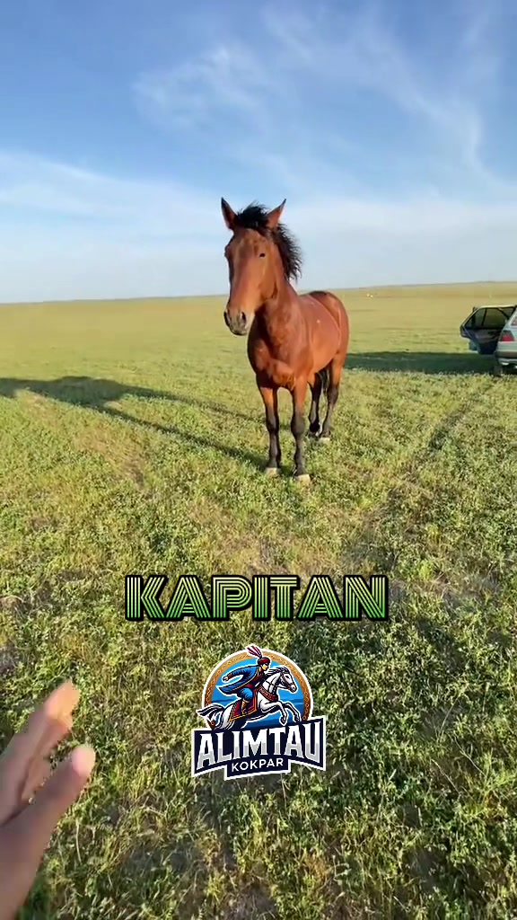 @Alimtau_kokpar