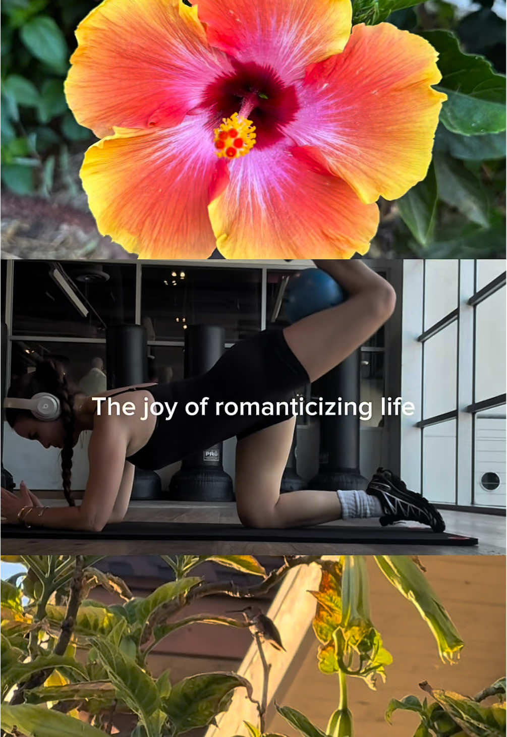 @Eden