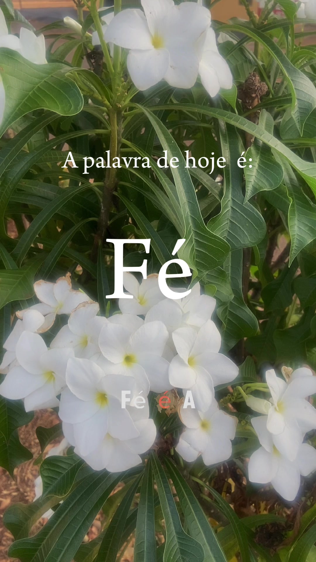@Sandra Nunes