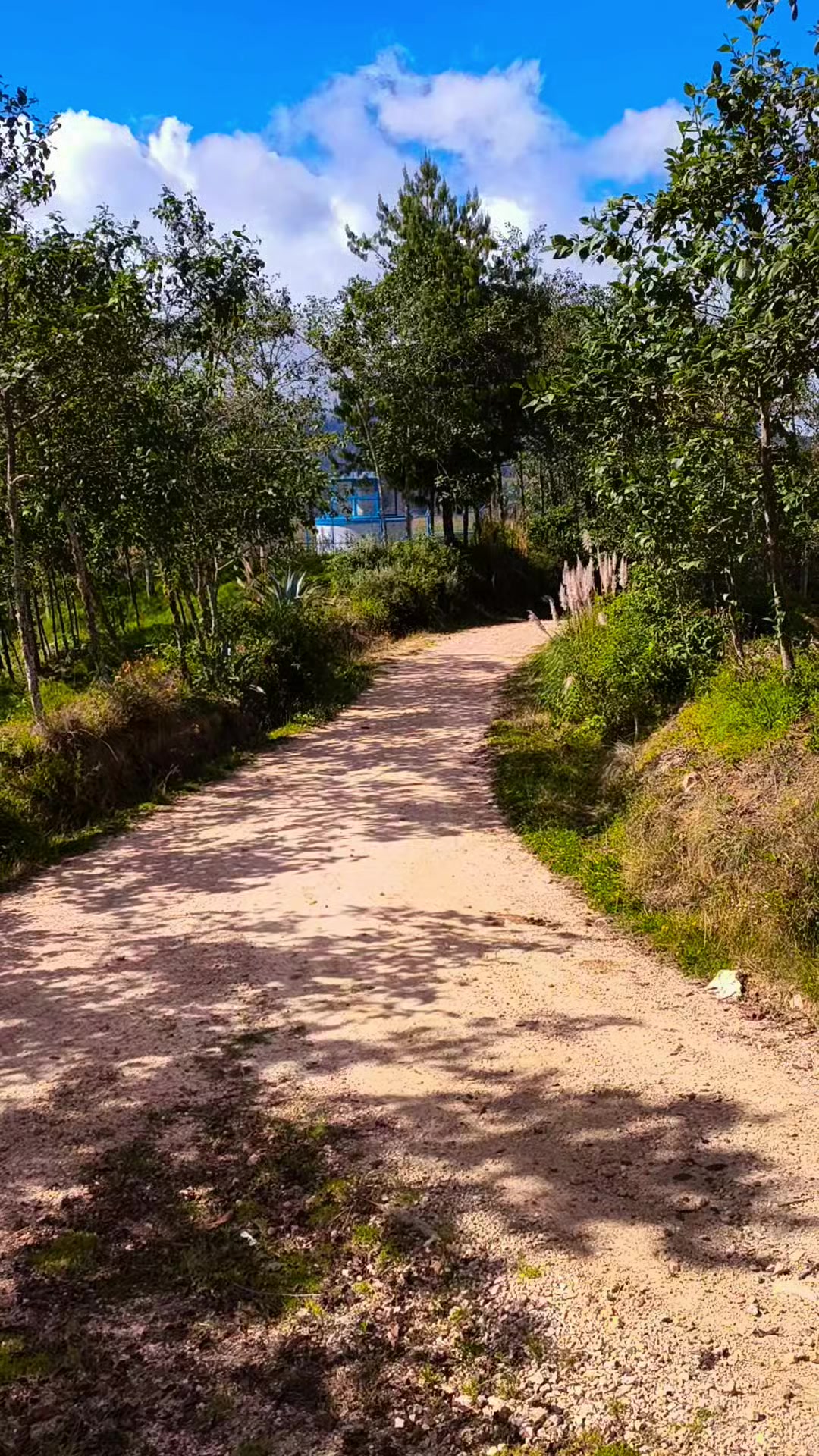 @Parrandero🛣️🚛 🧡🙏💪
