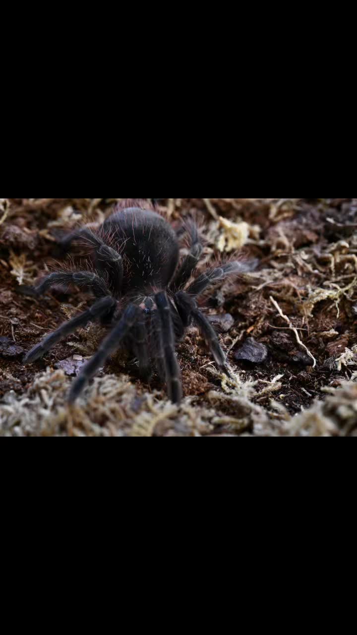 @Bestiesbeasties