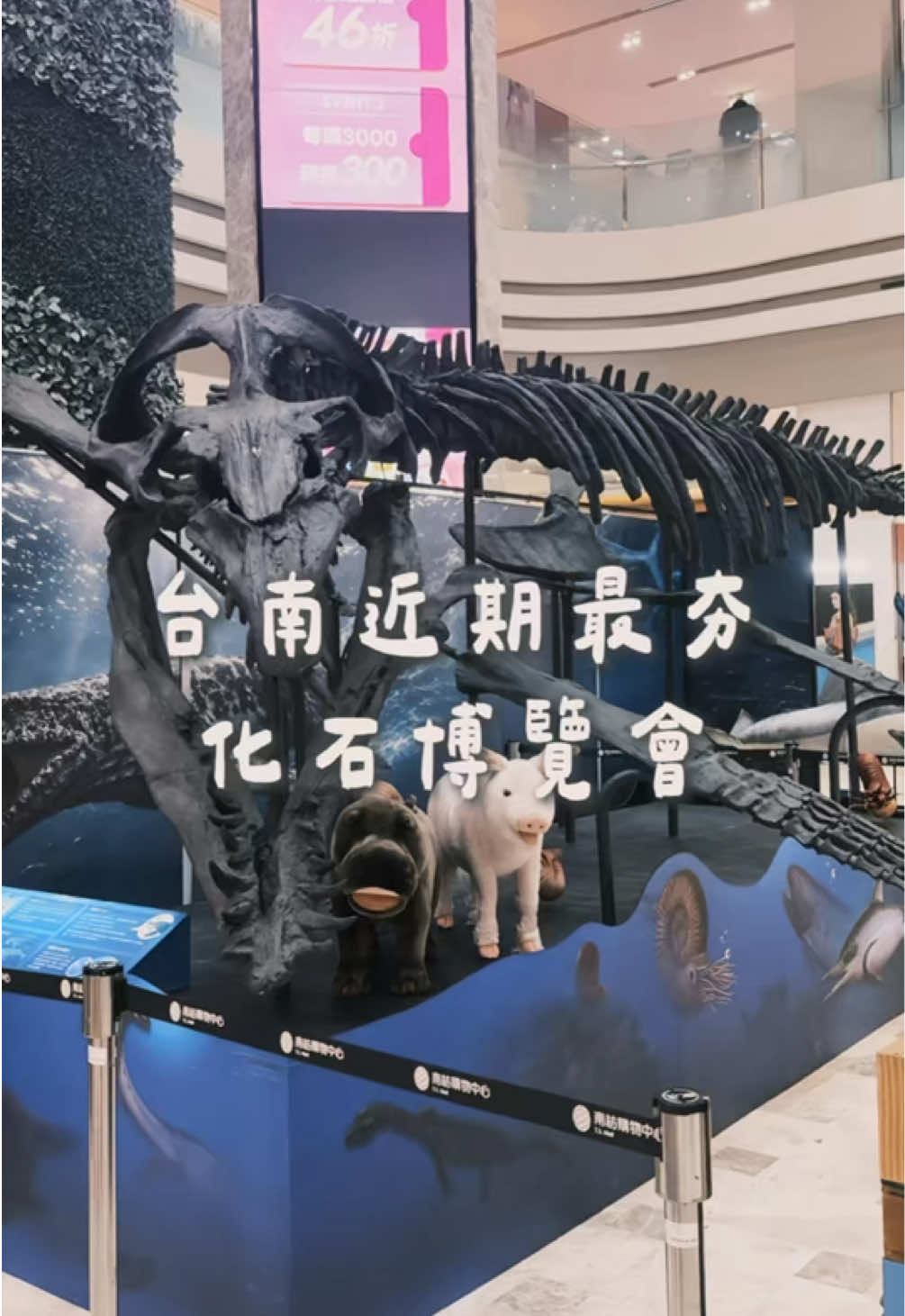 @𝗝𝗼𝗿𝗱𝗮𝗻の吃貨日記 全台跑透透✨