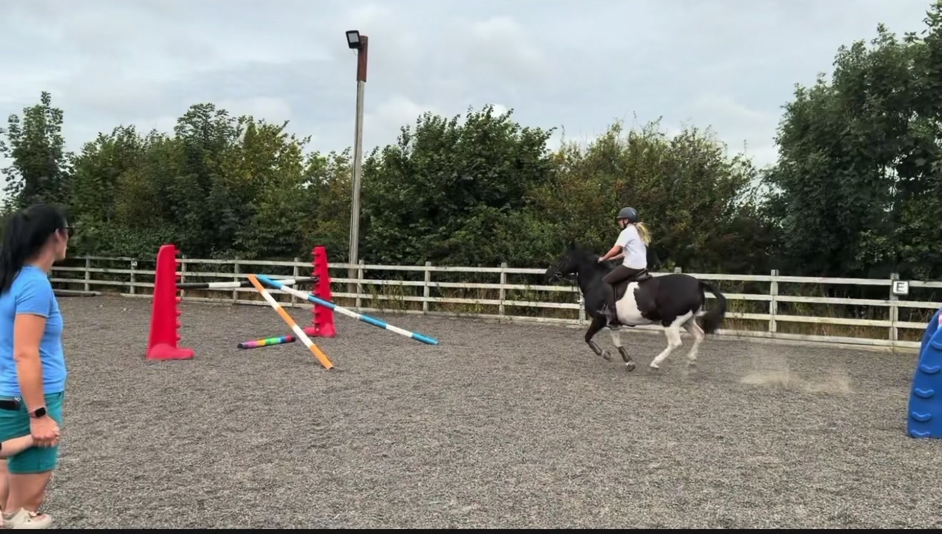 @AAPS_ponys