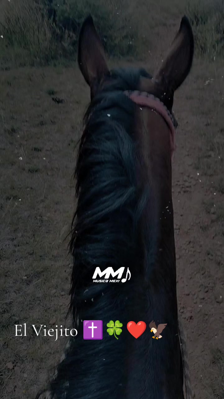 @Viejito Cordova✝️🍀❤️🐎🦅