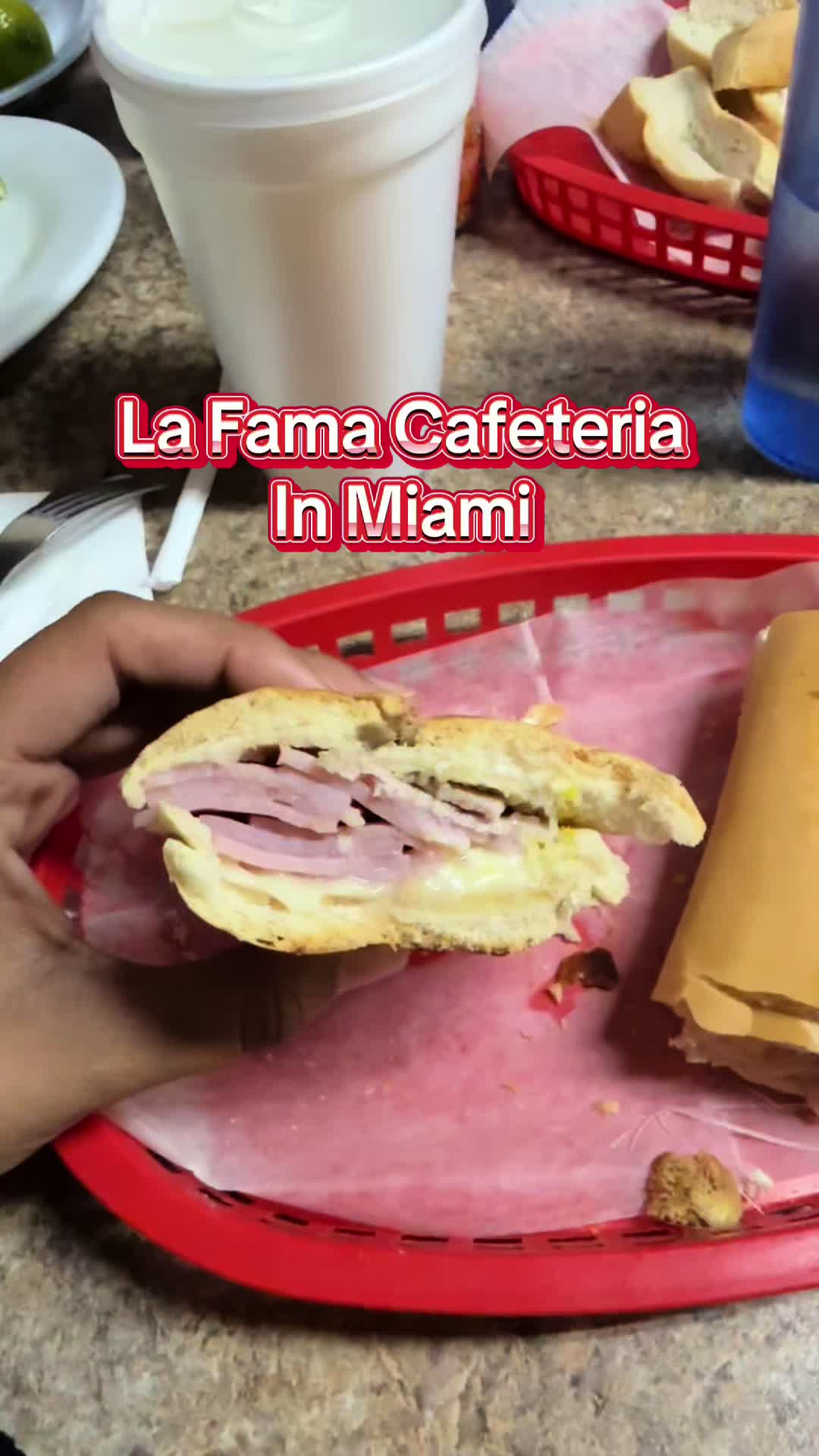 @Food + Travel Lifestyle💎