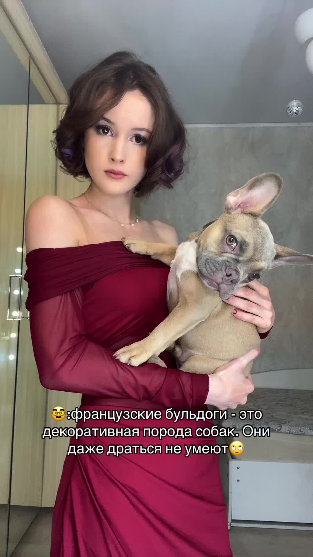 @ТГК: ШЕВАТЦА