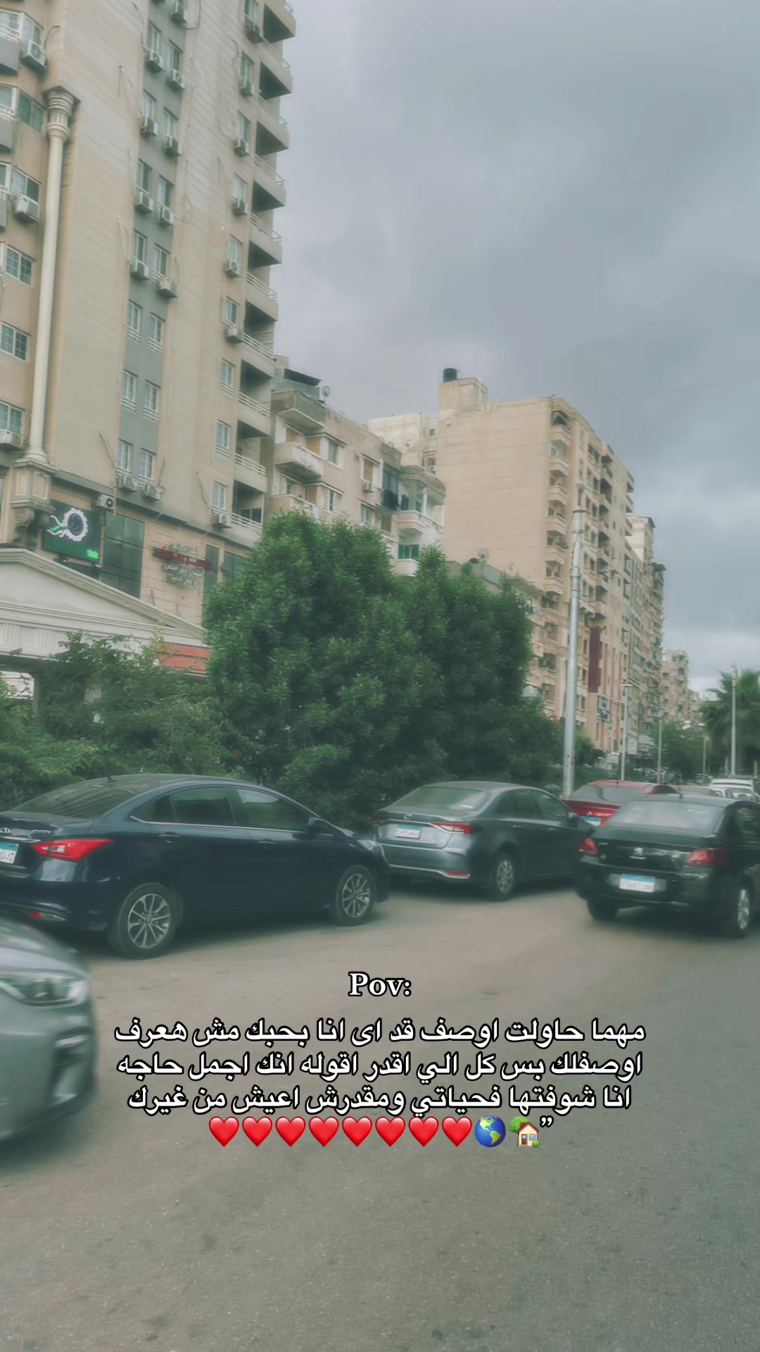 @loza_adel