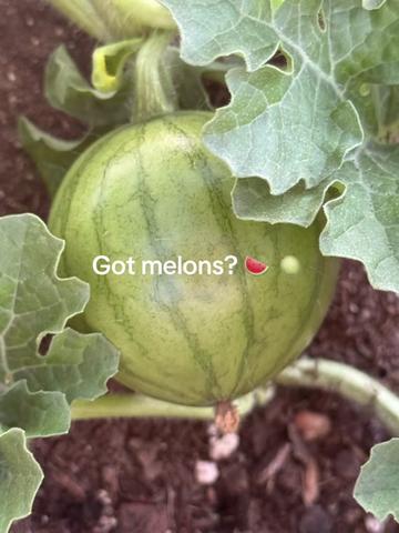@ChefJenk79✅