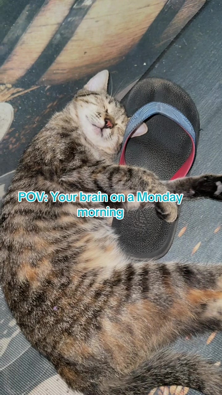 @️ྀིྀི ྀིྀི :)
