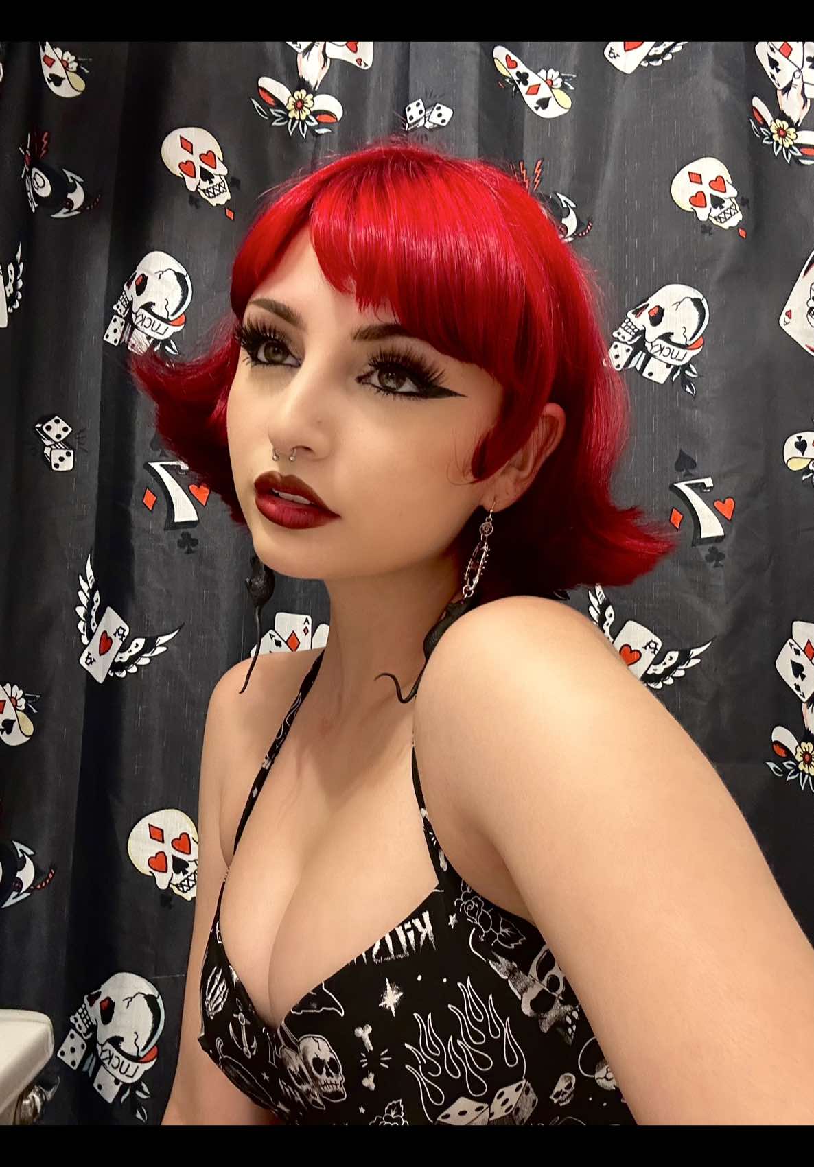 @haven 🦇
