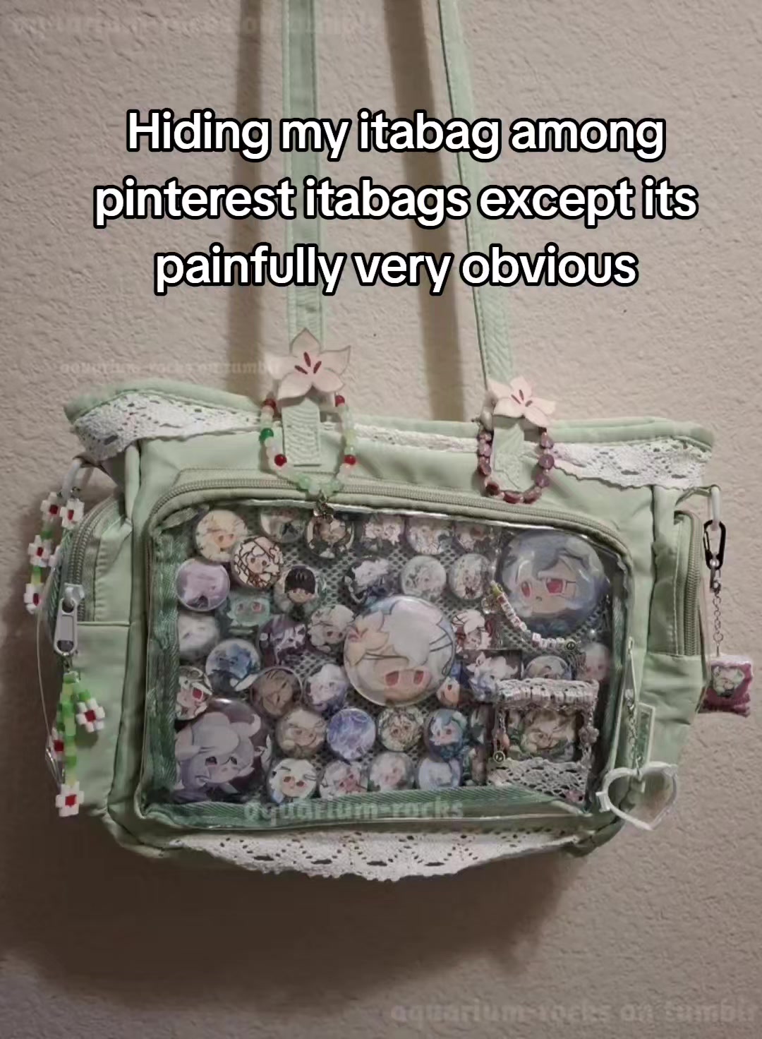 @Ollie/Olive ♡ Penny Lamb