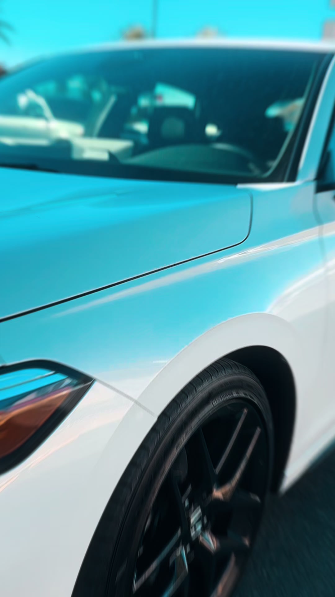 @Stealth Window Tint