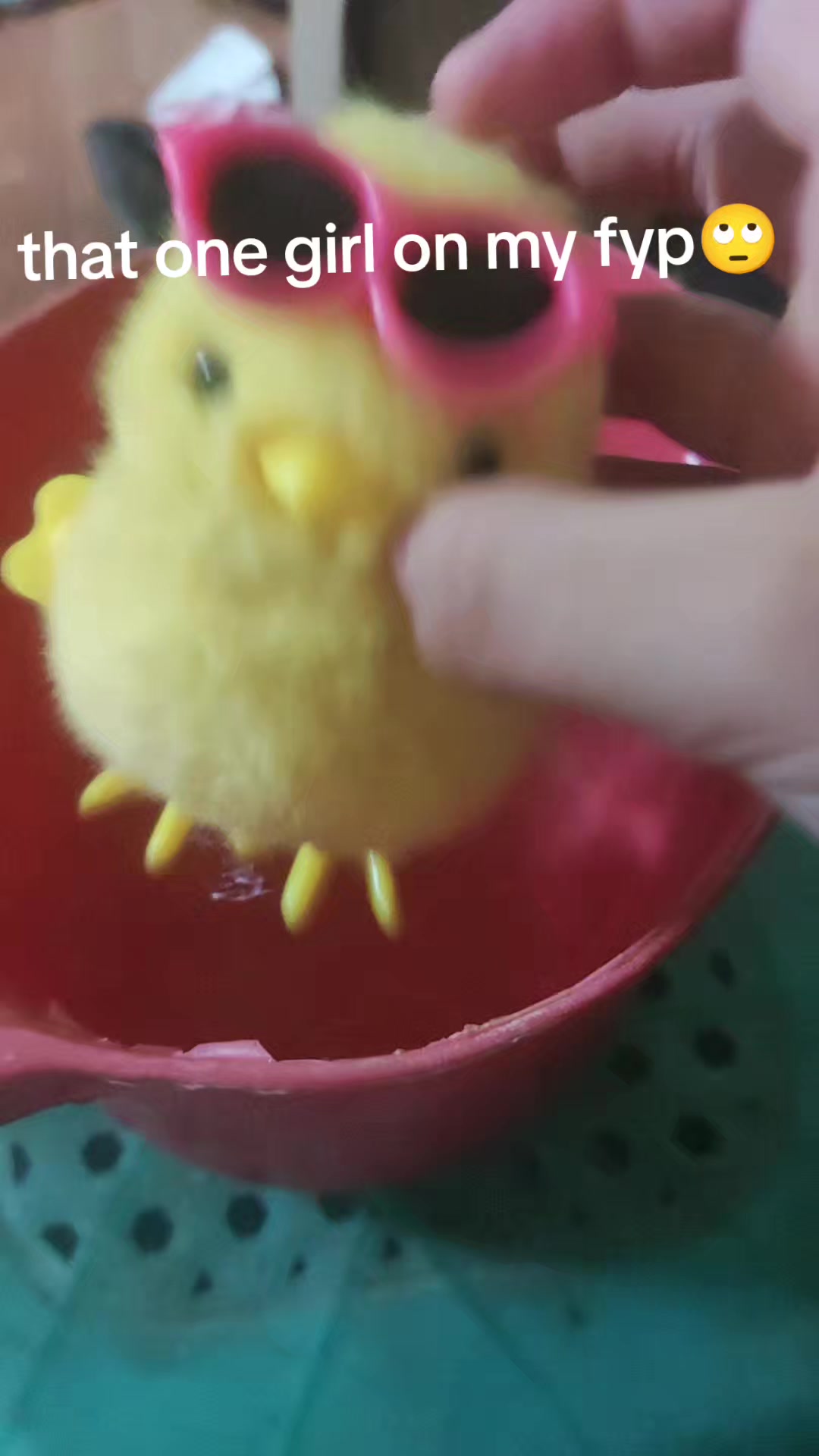 @REAL-CHICKENBLEAH