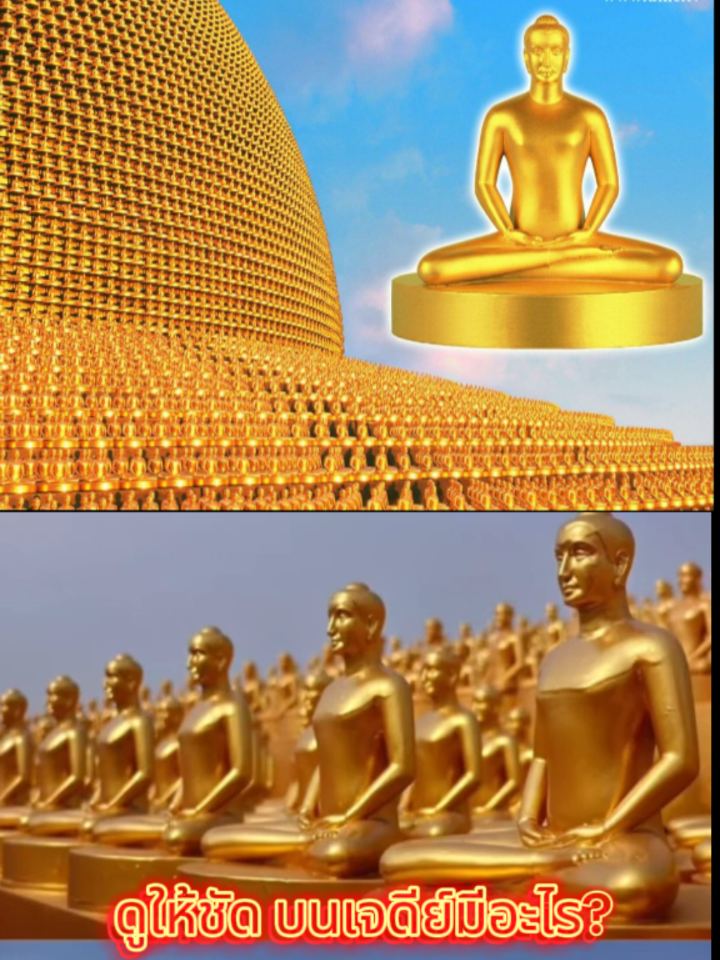 @MDC Affiiate ทั่วโลก
