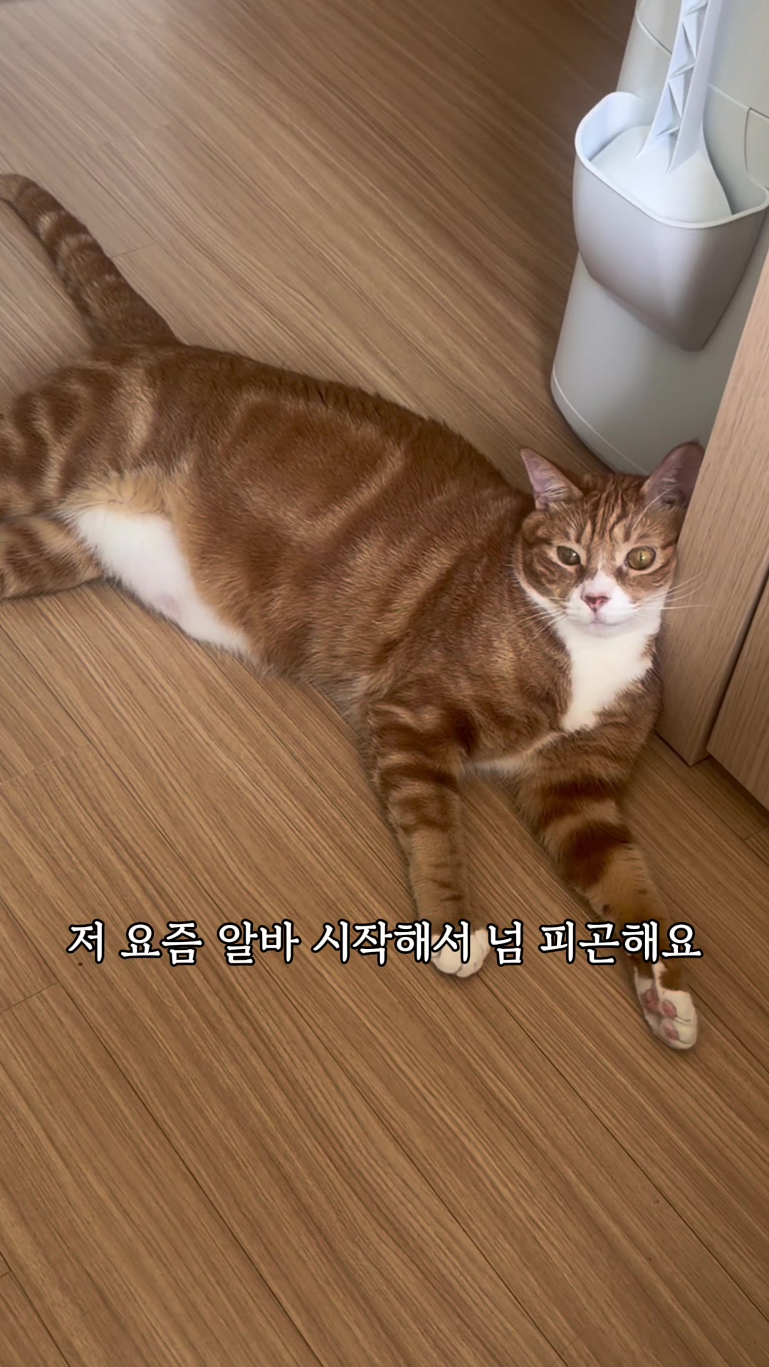 @뮤춘삼