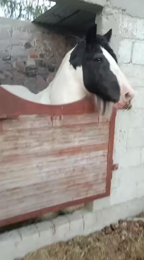@cuadraherradero15