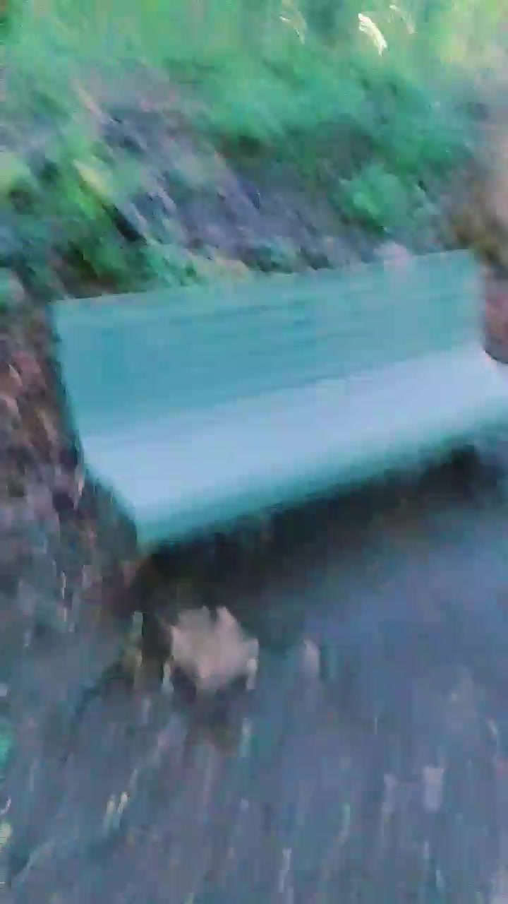 @whitefox.90