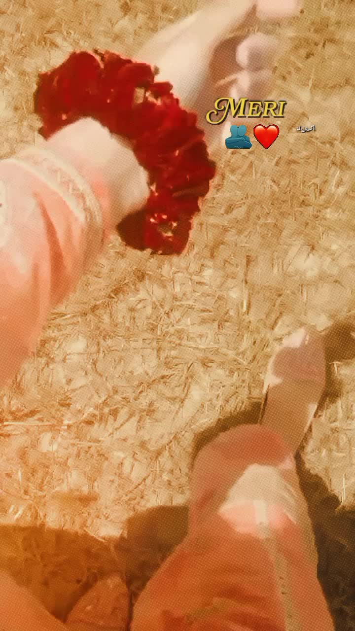 @𝄄꯭ ⃪𝑰𝒕'𝒛 𝑸𝒖𝒆𝒆𝒏👑𝆺𝅥♡