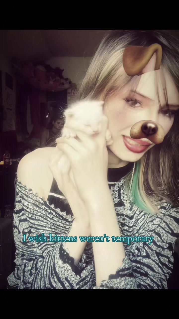 @krazy.cat_lady