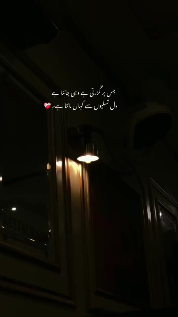 @Aesthetic Vibes