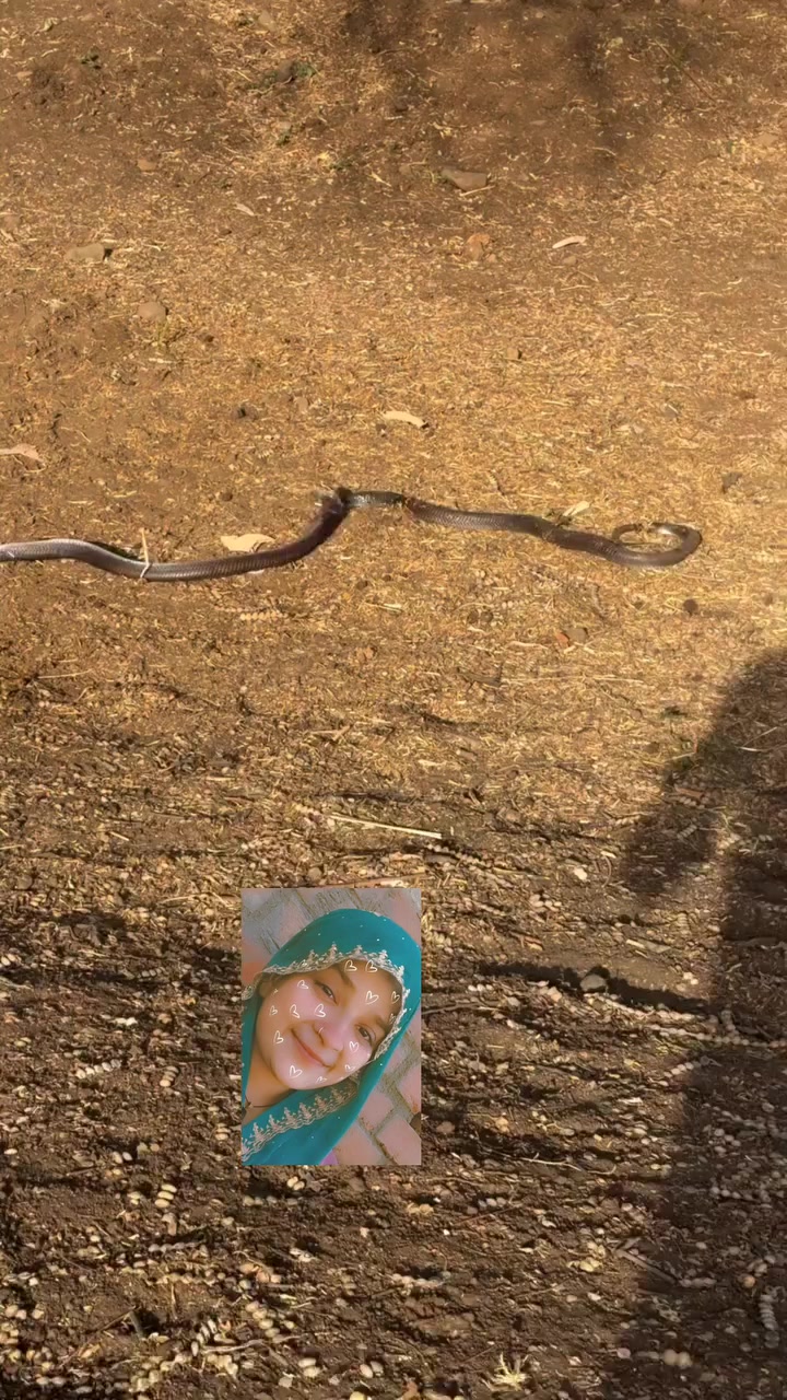 @𝐁𝐈𝐒𝐇𝐍𝐔 𝐃𝐄𝐕