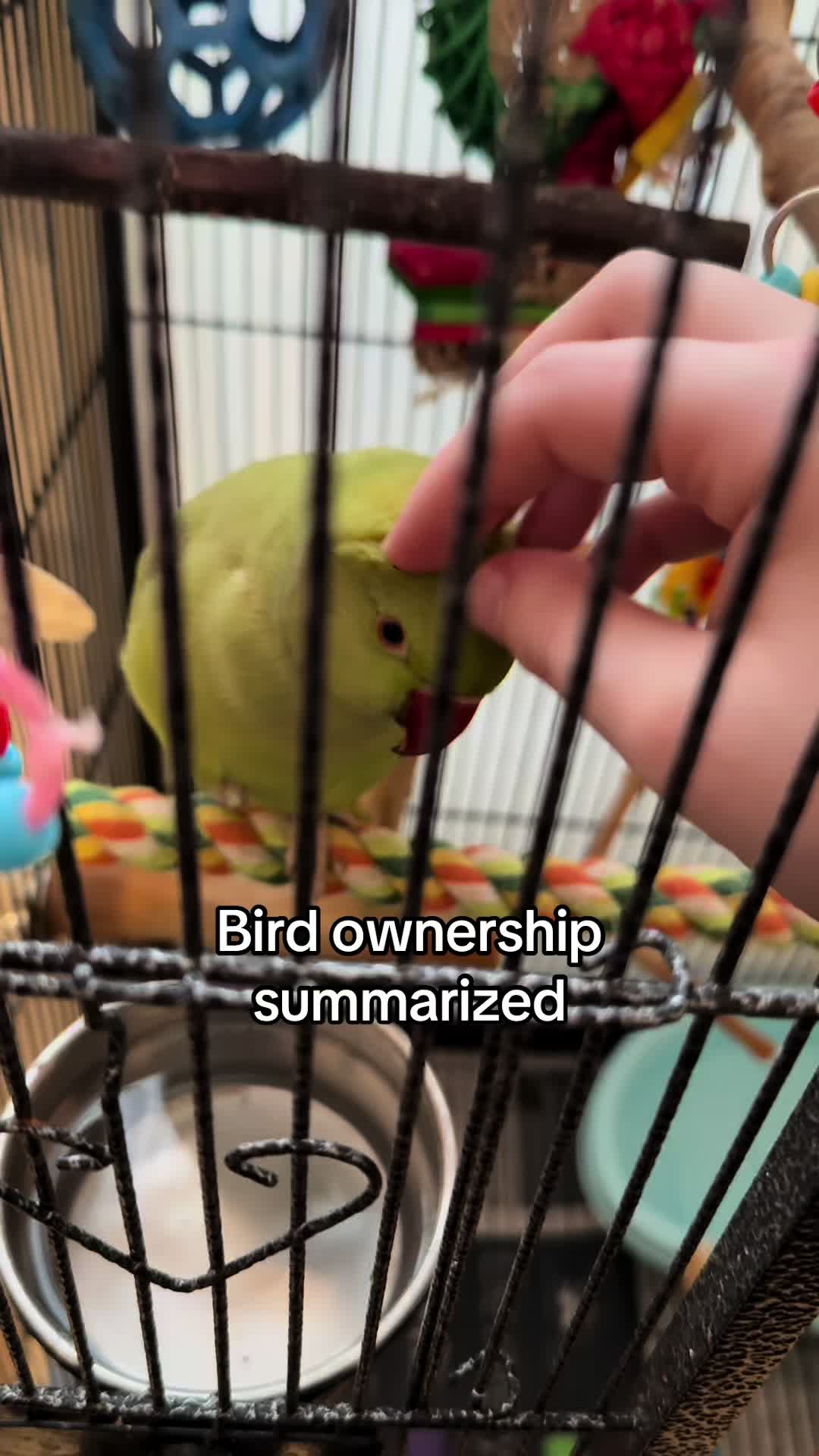 @sipandsquawk