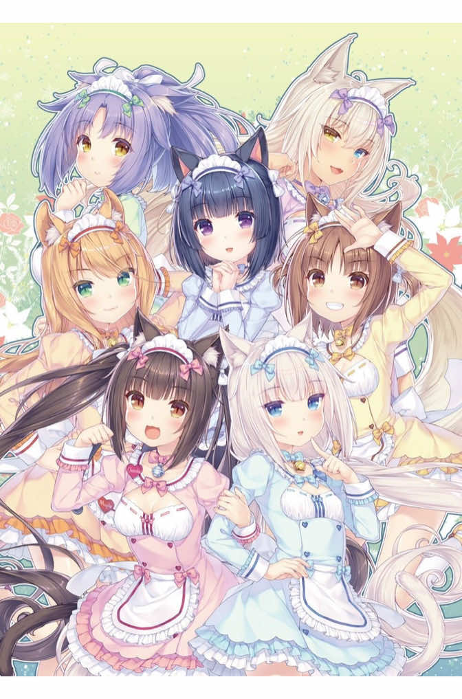 @猫 ෆ