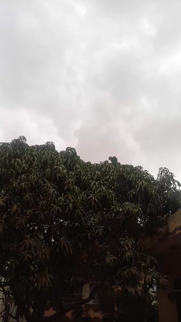 @Ali Askari