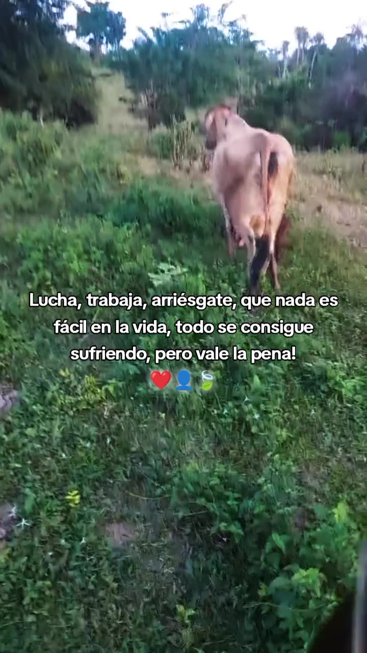 @analobelo4