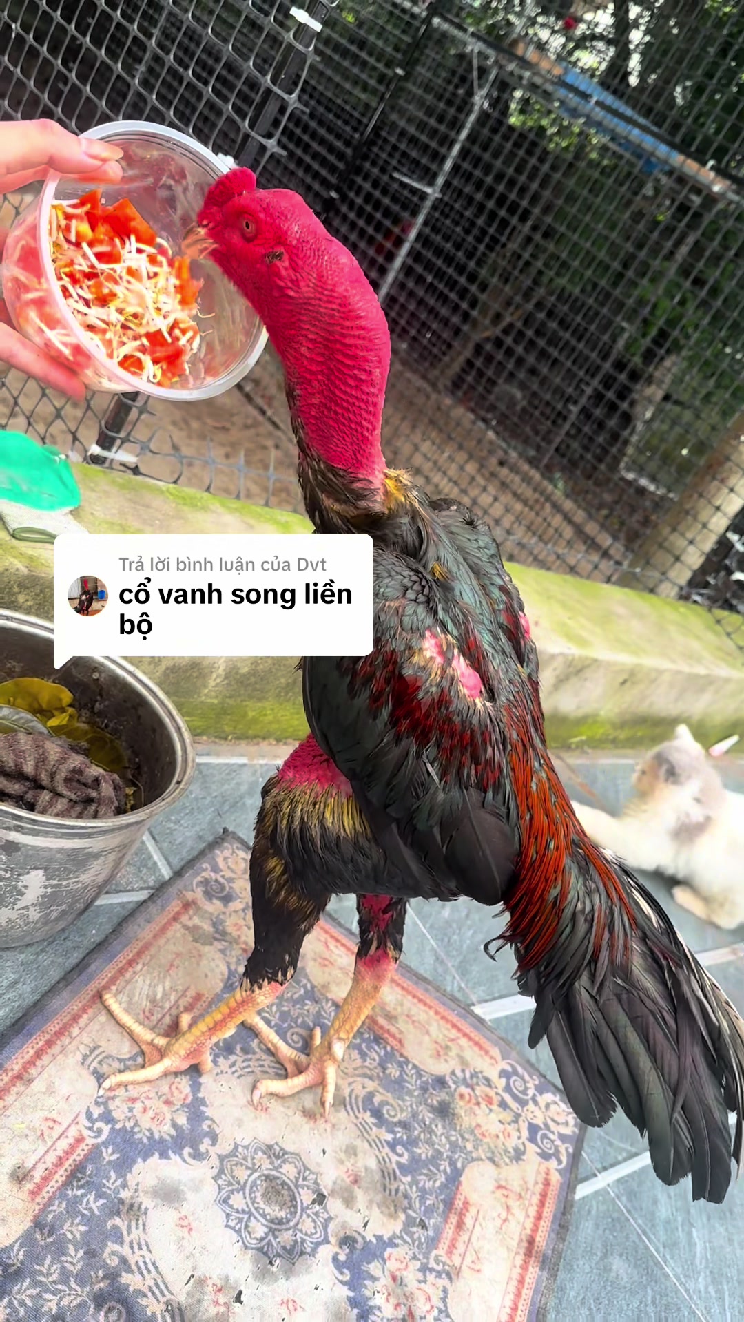 @Đức BG