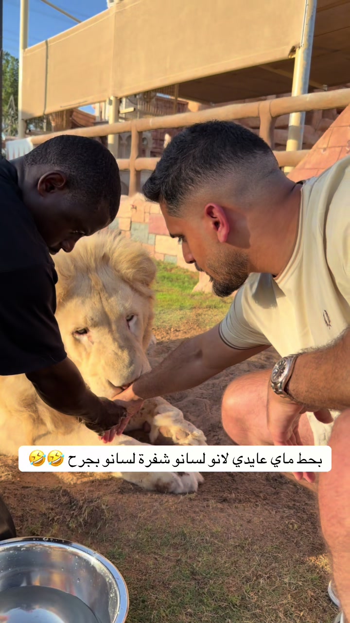 @yazedfarojy