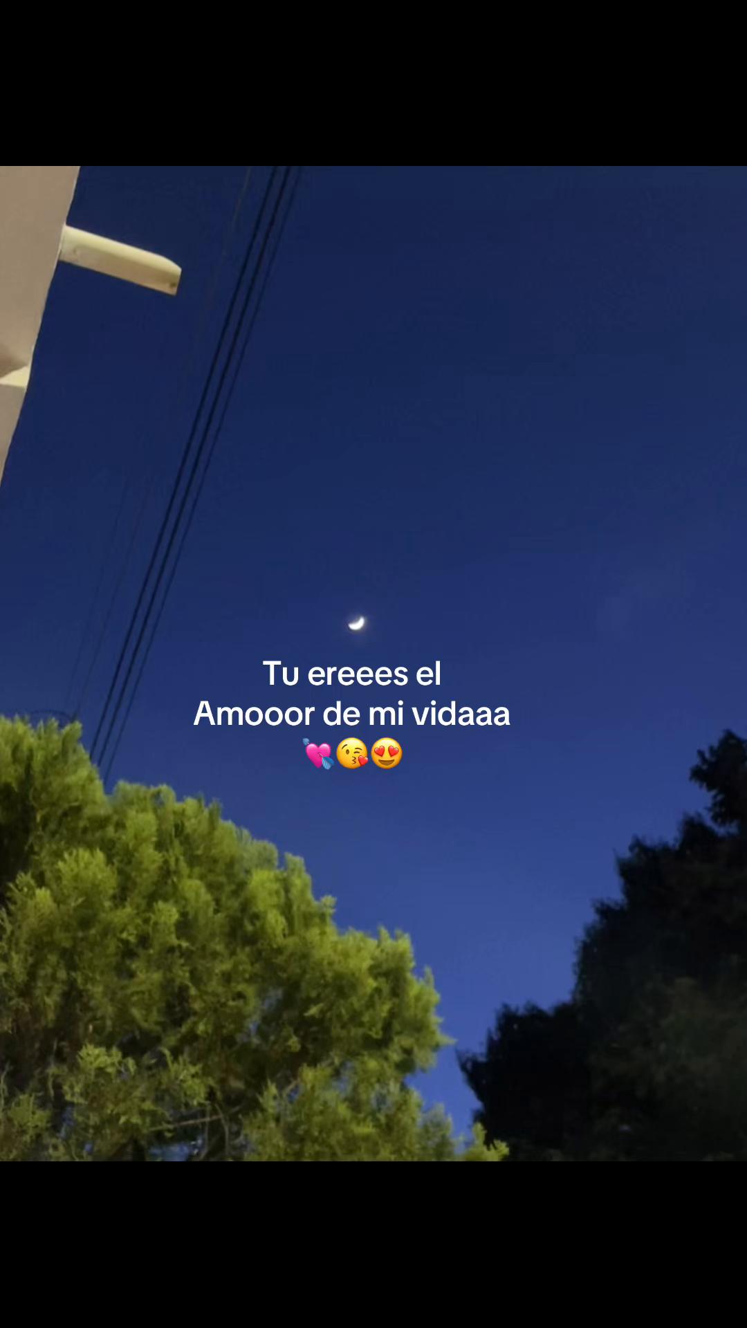 @_music_0384