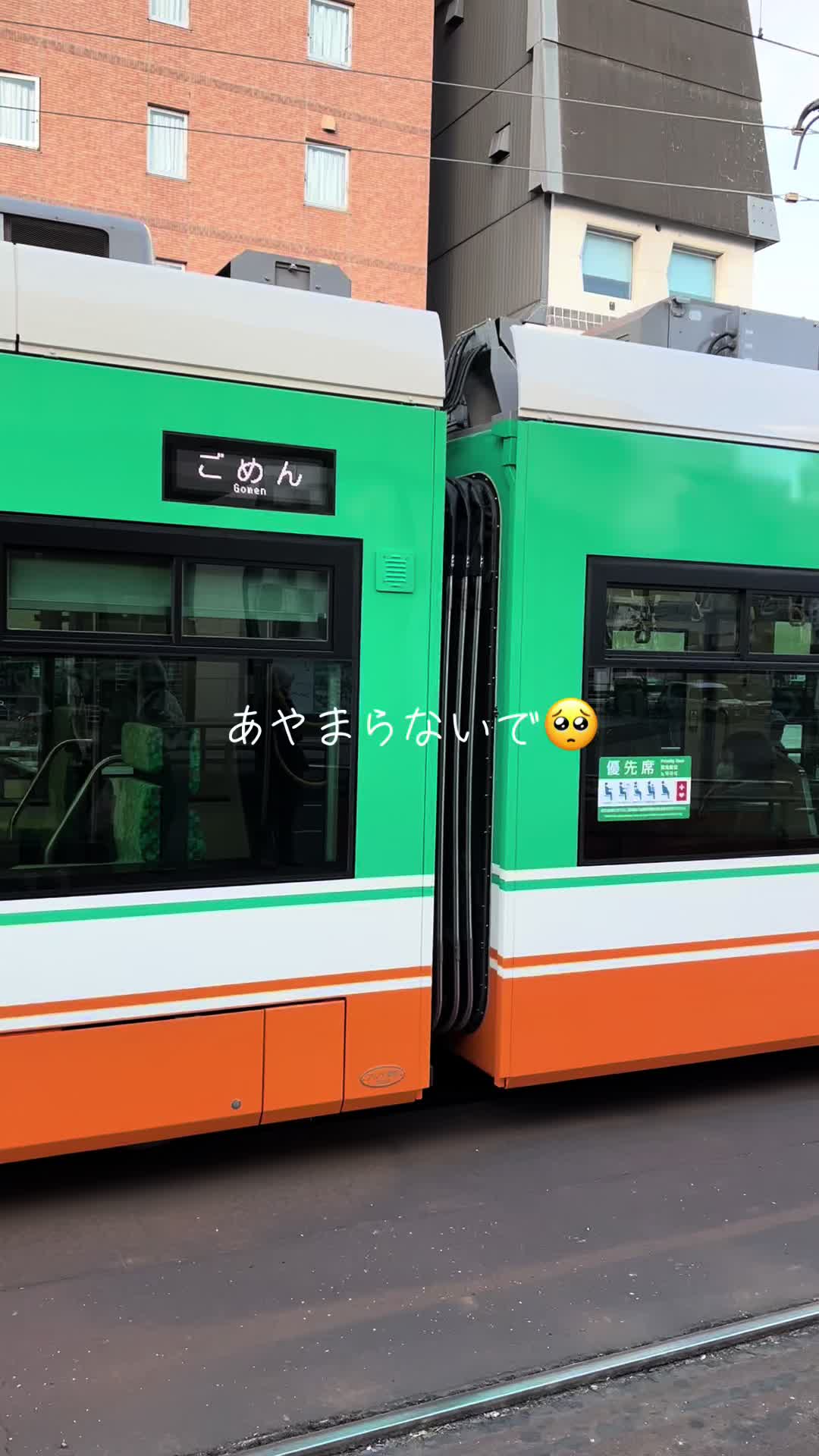 @てっちゃん🌈🐱