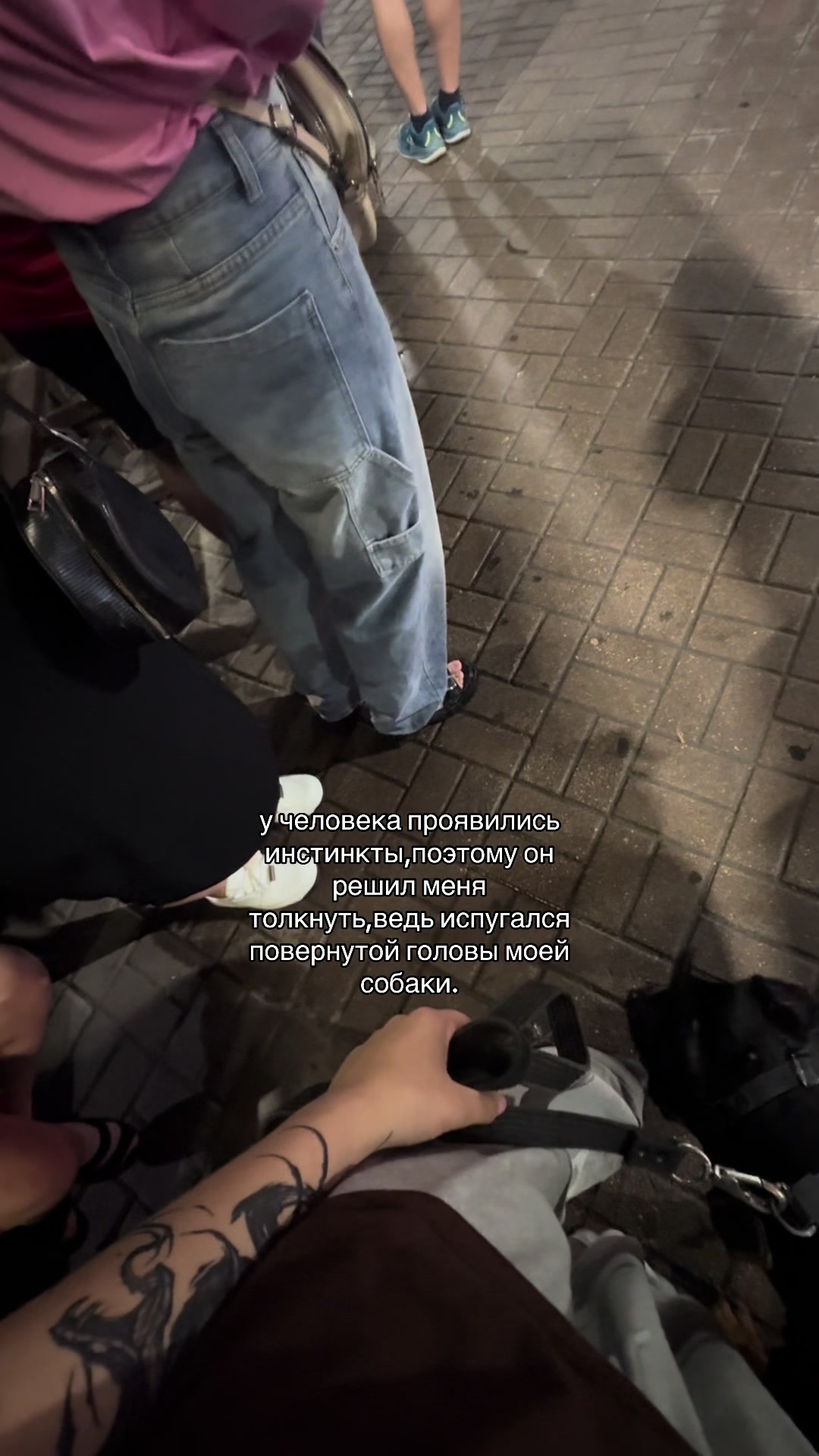 @‼️тг: grandorf‼️