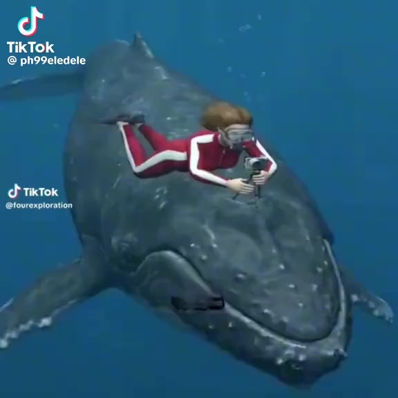 @hunters_edityt
