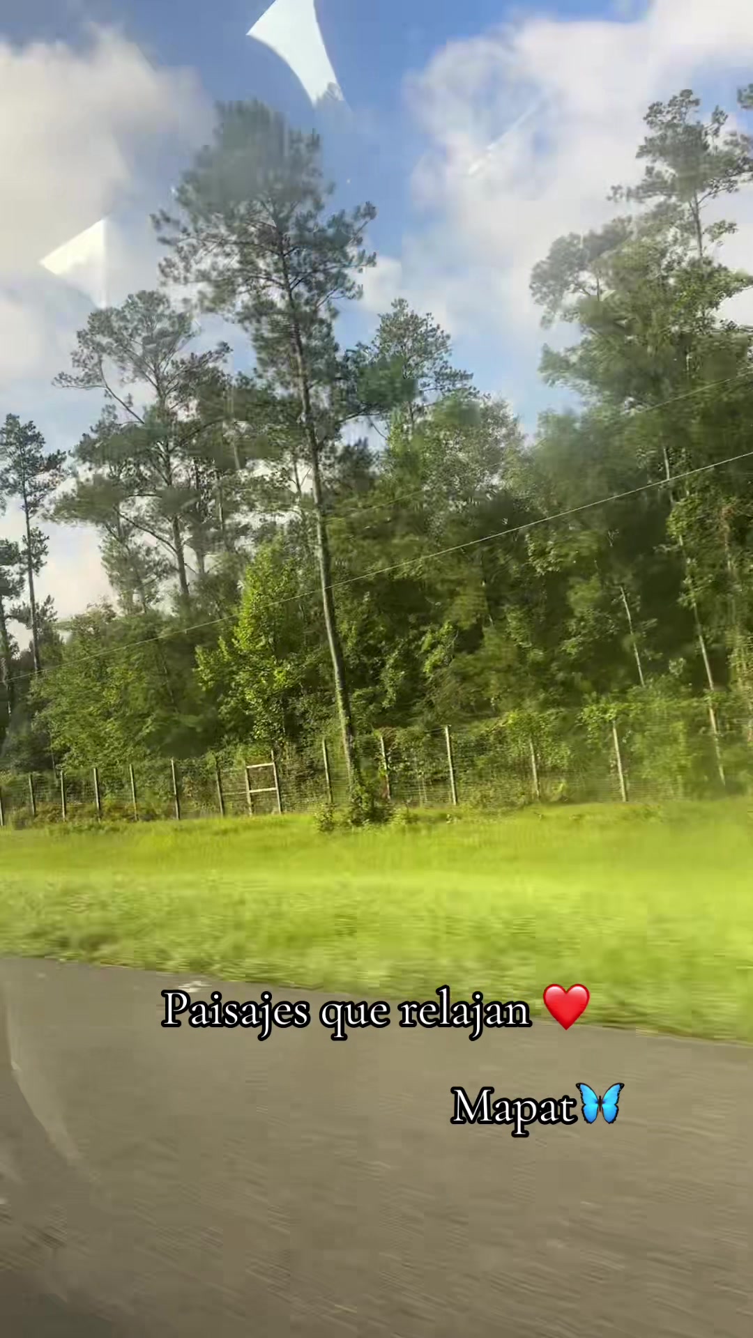 @Martha P. Betancourt Hernández